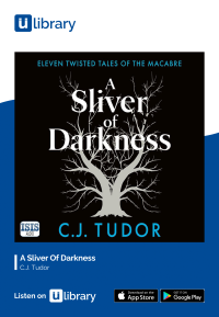 A Sliver Of Darkness Customisable A4 Poster